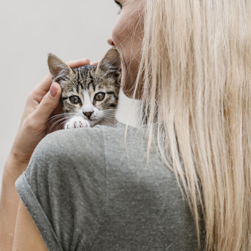 Informe Pericial en Delitos Tecnológicos en España